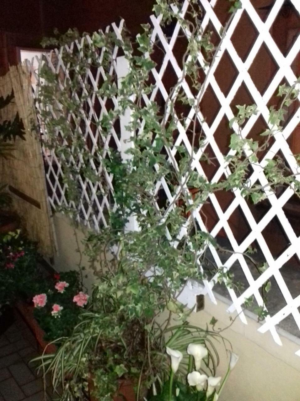 Bed & Breakfast La Terrazza Di Dante